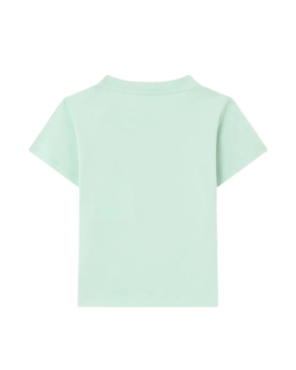 Palm Angels Kids T-Shirt Verde Chiaro Stampa Teddy con Logo per Neonate
